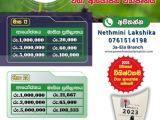 Power Hands Plantation ( PVT ) LTD