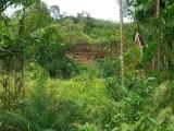 Land for sale Hadigalla Mathugama