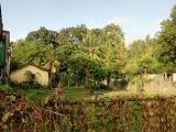 BARE LAND FOR LEASE