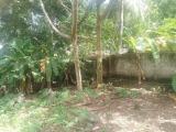 Land For Sale In Horana