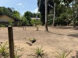 24 Perches of Land for Sale in Udugampola, Gampaha.