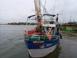 Boat For Sale