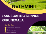 Landscaping Service Kurunegala