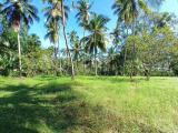2.5 acres of valuable land for sale in Medagampitiya, Divulapitiya.