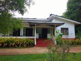 22.5 Acres Coconut Cultivated Land for Sale at Godigamuwa, Badalgama.