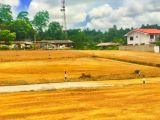 පානදුර අලුබෝමුල්ලෙන් වටිනා ඉඩමක් වහා විකිණීමට
