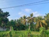 Prime & Valuable Land for Sale in Galle – Milidduwa.