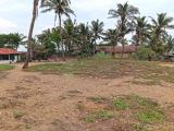 Prime Beachfront Land for Sale – Pitipana, Negombo
