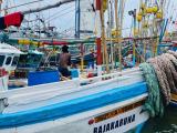 Boat For Sale